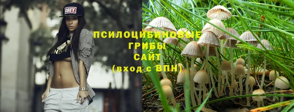 стаф Армянск