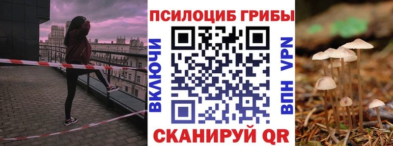 купить наркоту  мориарти состав  Псилоцибиновые грибы ЛСД  Калач  kraken tor 